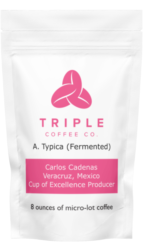 8 ounces of Arabica Typica Anaerobic Fermentation Veracruz Mexico produced by Carlos Cadena