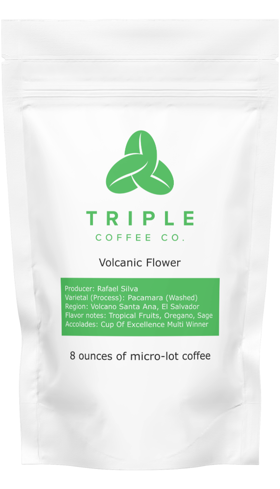 Volcanic Flower – Pacamara Washed (Santa Ana, El Salvador)